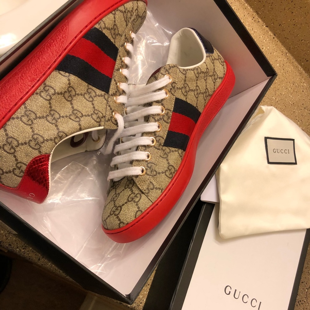 Ace GG supreme sneaker